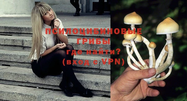 мдпв Каменногорск