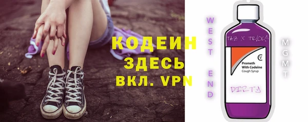 мдпв Каменногорск
