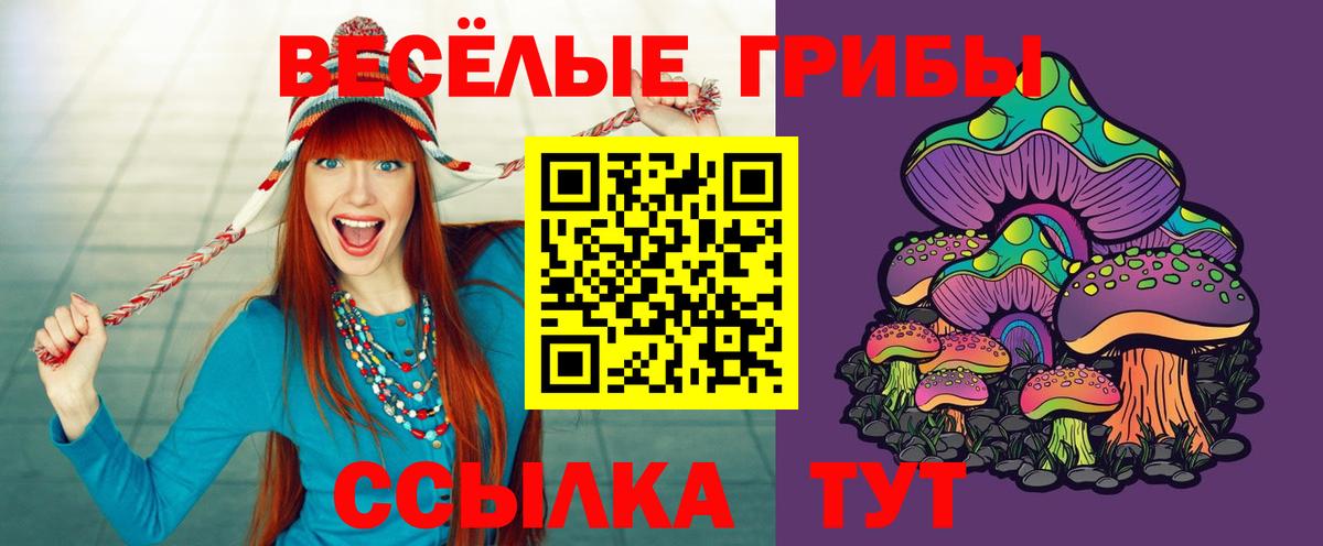 Сочи  Псилоцибиновые грибы Psilocybine cubensis  Вход с VPN  где найти   Псилоцибиновые грибы MAGIC MUSHROOMS 